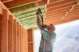 Best Garage Insulation  in Placerville, CA